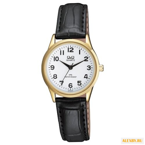 Наручные часы Q&Q C215-104