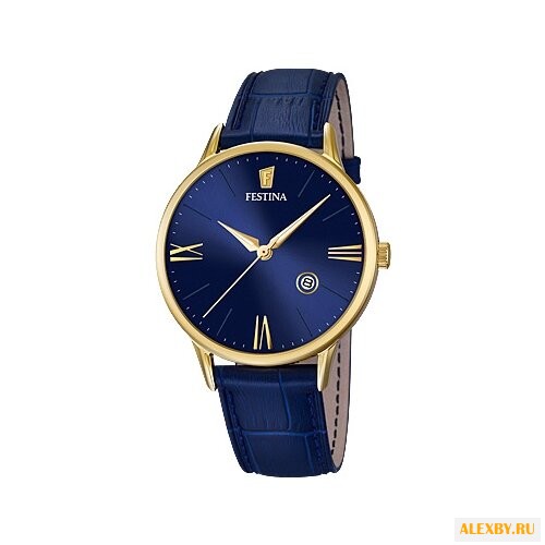 Наручные часы FESTINA F16825 3