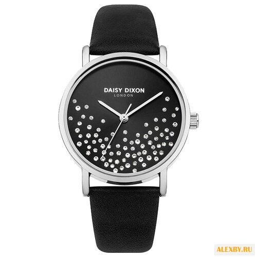 Наручные часы DAISY DIXON DD053BS