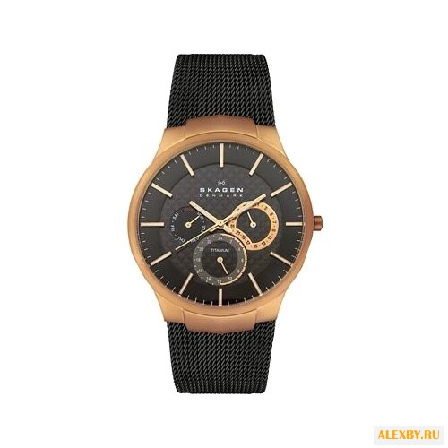 Наручные часы SKAGEN 809XLTRB