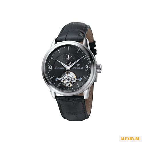 Наручные часы EARNSHAW ES-8003-01