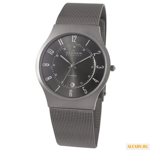 Наручные часы SKAGEN 233XLTTM