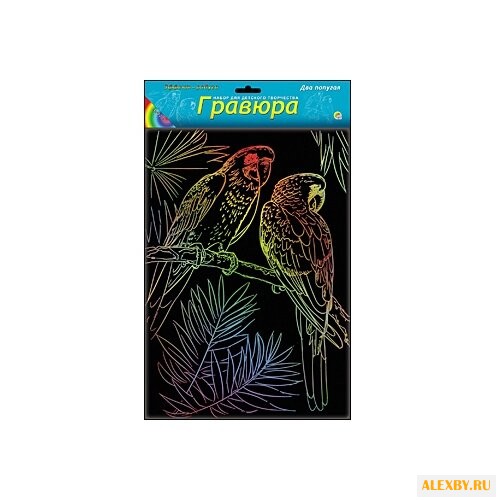 Гравюра Рыжий кот Два попугая в