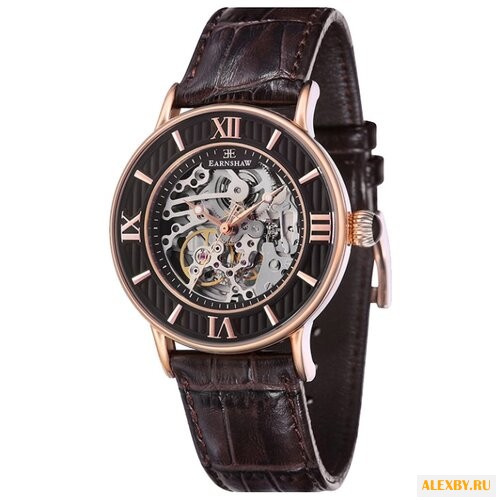 Наручные часы EARNSHAW ES-8038-04