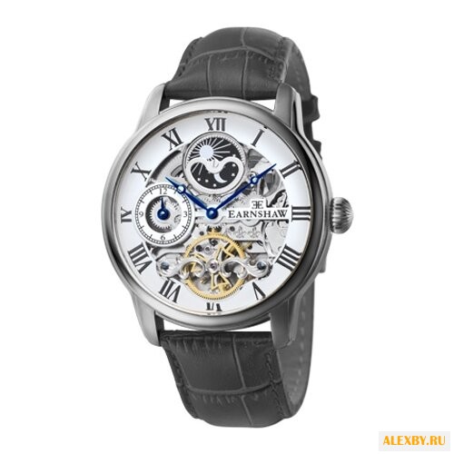 Наручные часы EARNSHAW ES-8006-01