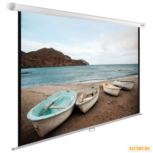 Рулонный матовый белый экран