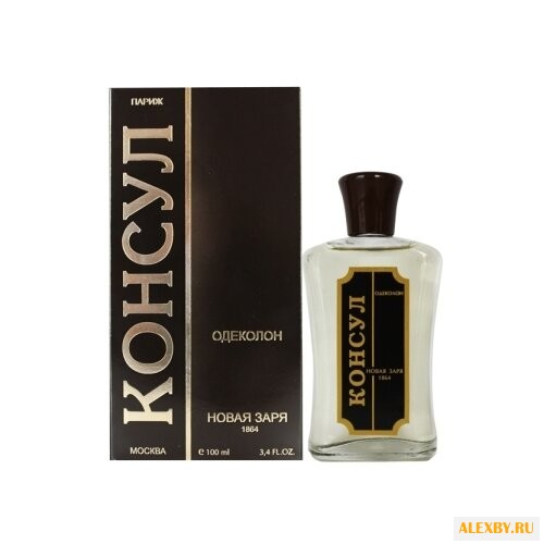 Новая Заря Консул