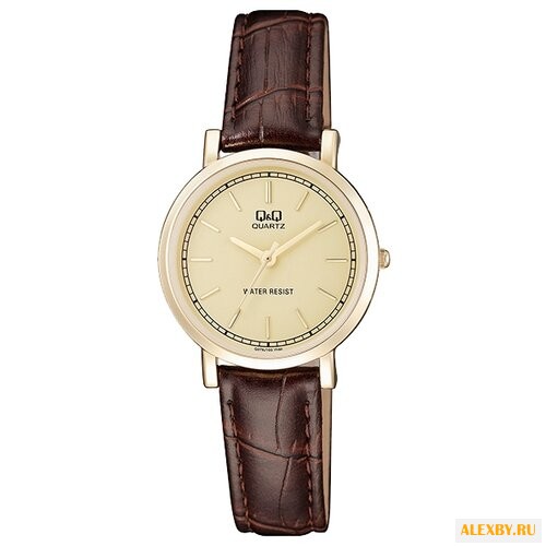 Наручные часы Q&Q Q979 J100