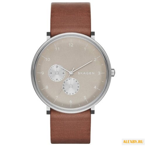 Наручные часы SKAGEN SKW6168
