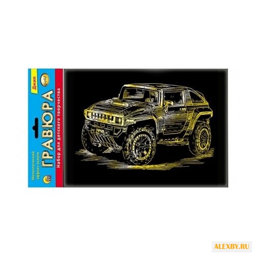 Гравюра Рыжий кот Джип в пакете