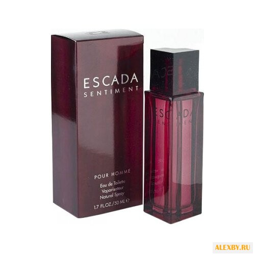 Escada Sentiment pour Homme