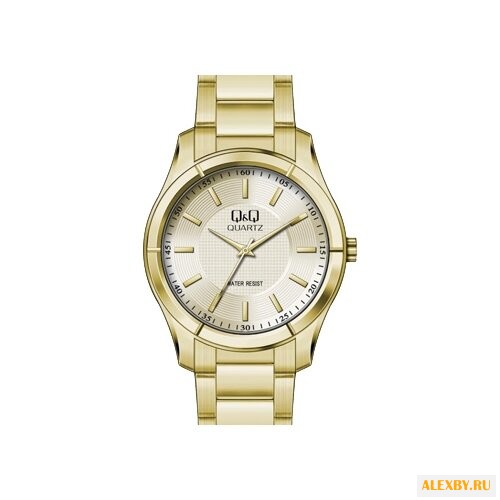 Наручные часы Q&Q Q876 J010