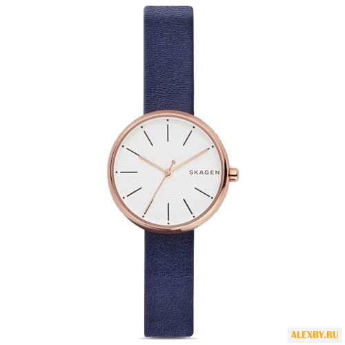 Наручные часы SKAGEN SKW2592
