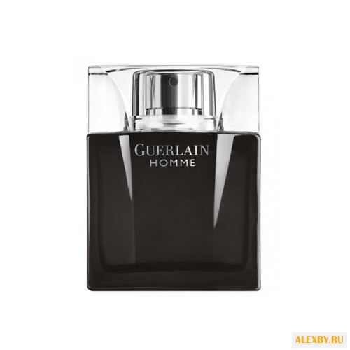 Guerlain Guerlain Homme Intense
