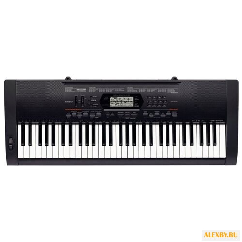 Синтезатор CASIO CTK-3000