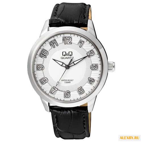 Наручные часы Q&Q Q956 J304