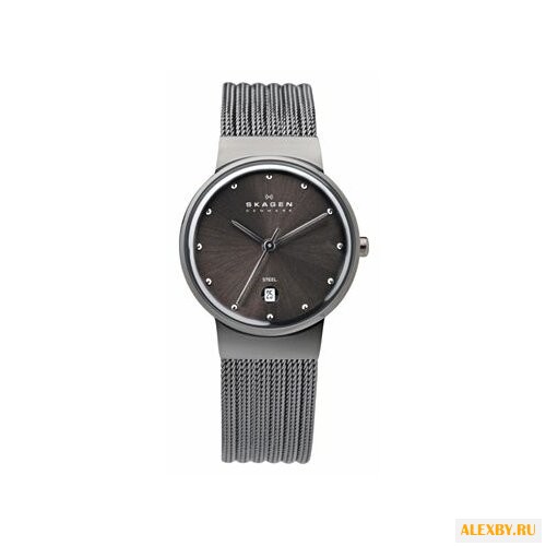 Наручные часы SKAGEN 355SMM1