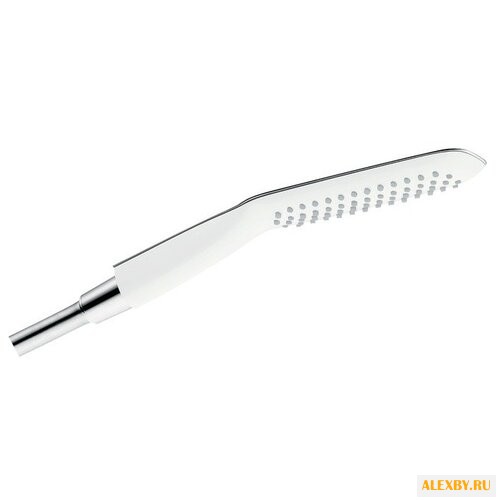 Лейка для душа Hansgrohe Verso