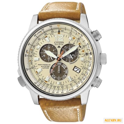 Наручные часы CITIZEN AS4020-44B