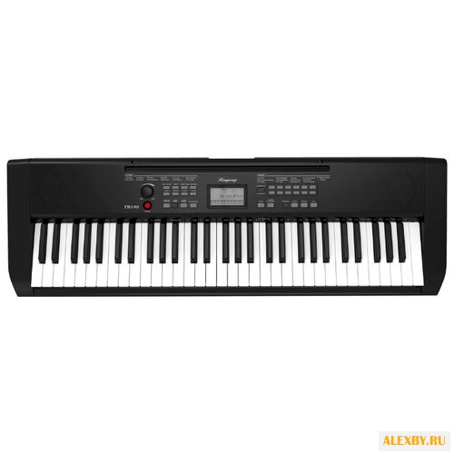 Синтезатор Ringway TB100