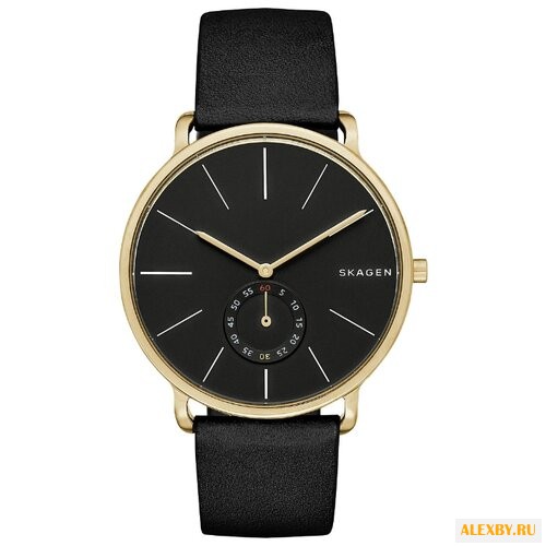 Наручные часы SKAGEN SKW6217