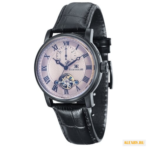 Наручные часы EARNSHAW ES-8042-06