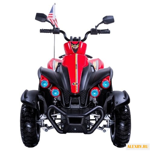 Toyland Квадроцикл 268B