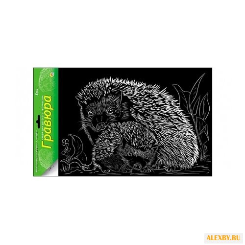 Гравюра Рыжий кот Ежи в пакете