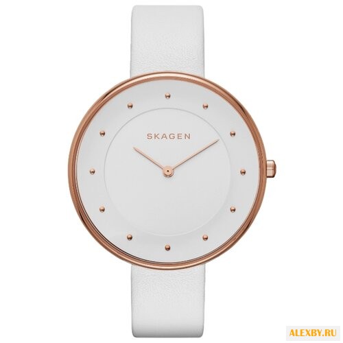 Наручные часы SKAGEN SKW2291
