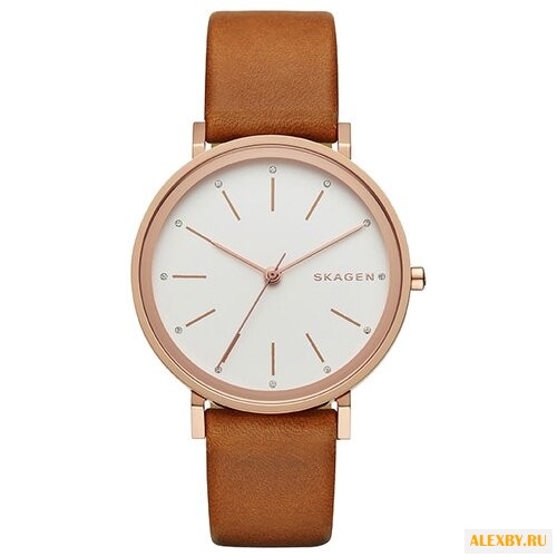 Наручные часы SKAGEN SKW2488
