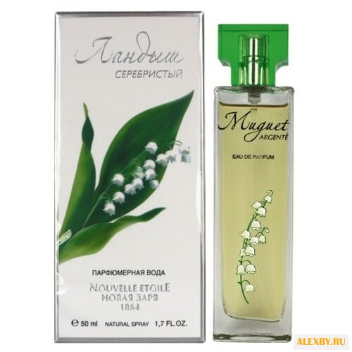 Новая Заря Ландыш серебристый