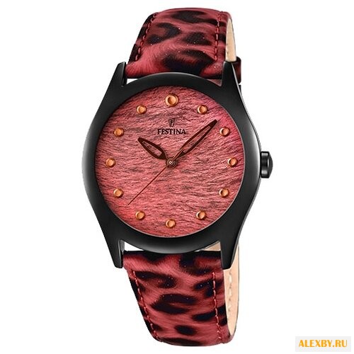 Наручные часы FESTINA F16649 2