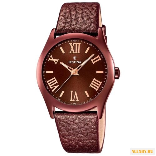Наручные часы FESTINA F16649 7
