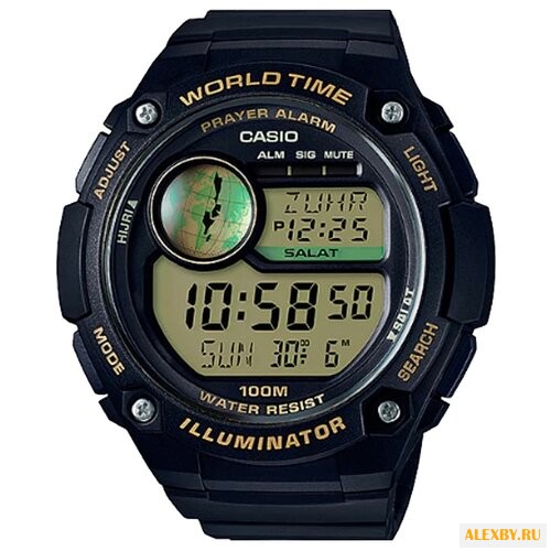 Наручные часы CASIO CPA-100-9A
