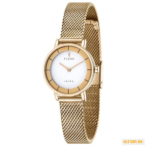 Наручные часы FJORD FJ-6038-22