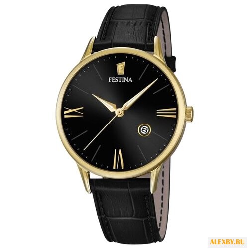 Наручные часы FESTINA F16825 4