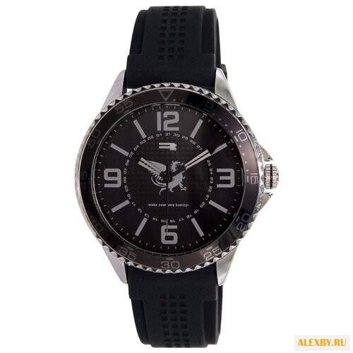 Наручные часы RG512 G50929.203