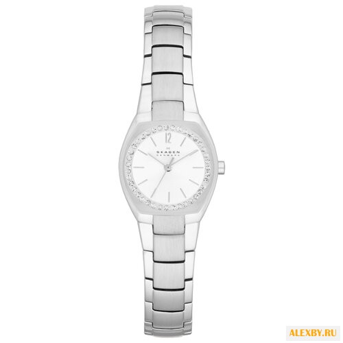 Наручные часы SKAGEN SKW2110