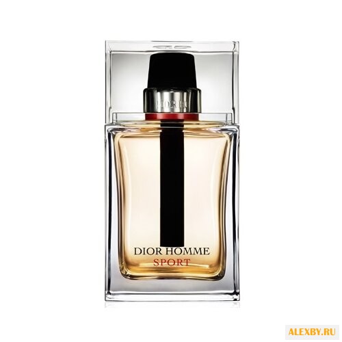 Christian Dior Dior Homme Sport