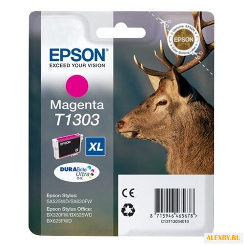 Картридж Epson C13T13034010