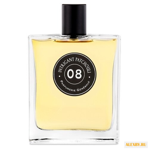 Pierre Guillaume PG 08