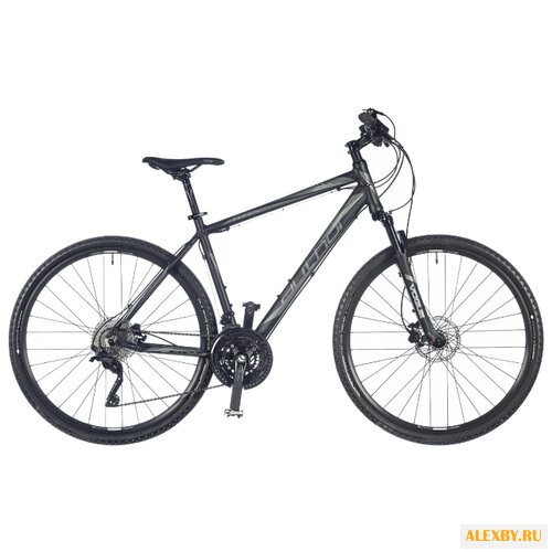 Горный гибрид Author Codex 2018