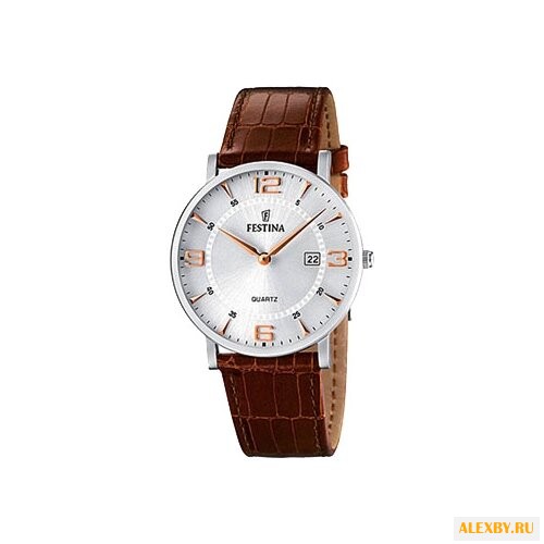 Наручные часы FESTINA F16476 4