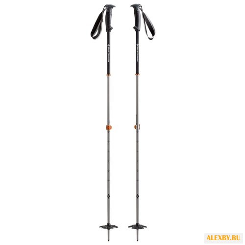 Палки для горных лыж Black