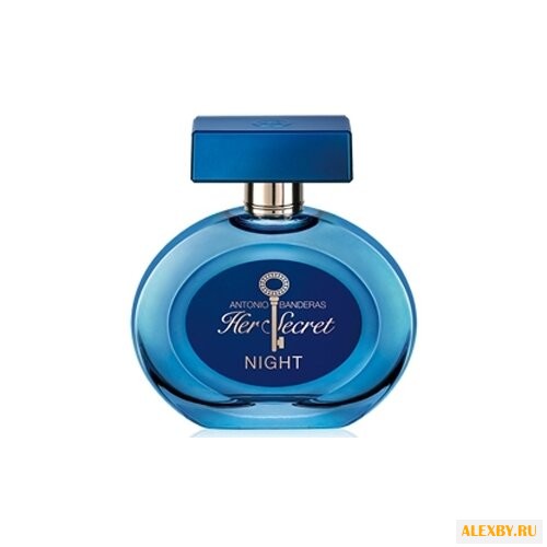 Antonio Banderas Her Secret Night