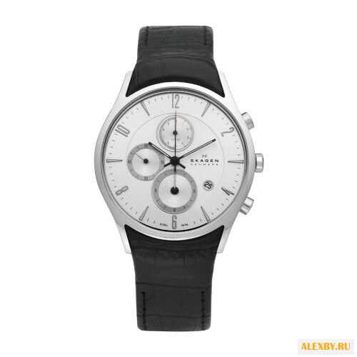 Наручные часы SKAGEN 329XLSLC