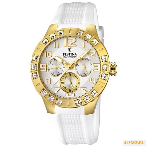 Наручные часы FESTINA F16581 1