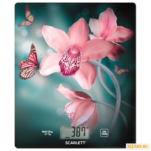 Кухонные весы Scarlett SC-KS57P31