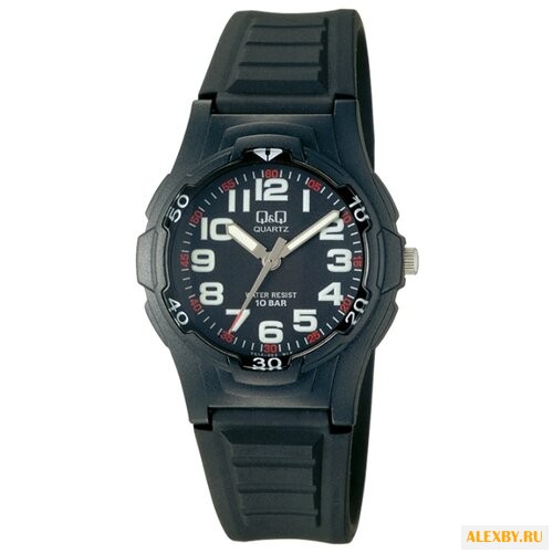 Наручные часы Q&Q VQ14 J002