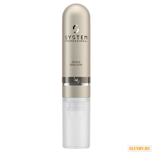 SYSTEM PROFESSIONAL REPAIR